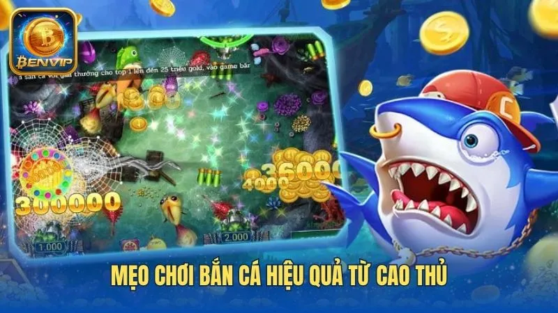 Bí quyết săn cá được nhiều xu từ cao thủ nên biết