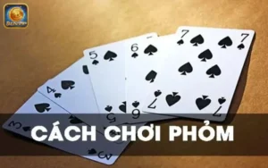 chơi phỏm online