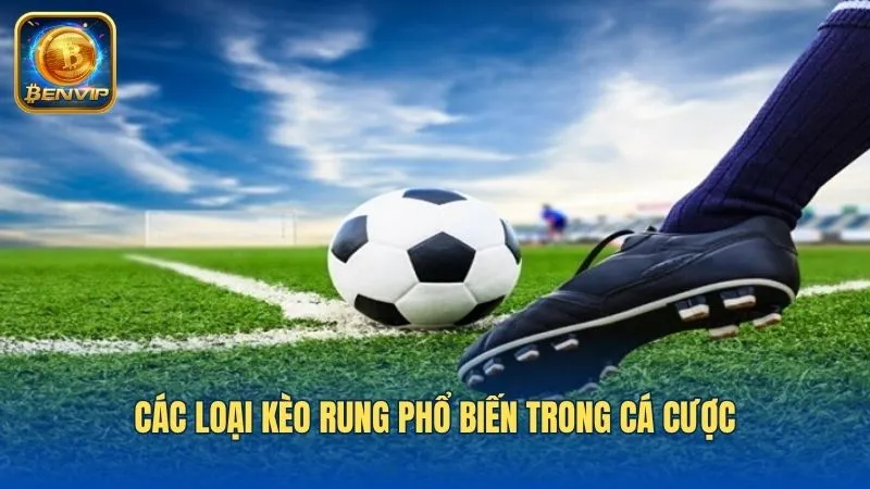 Hướng dẫn cách chơi từng loại kèo rung phổ biến